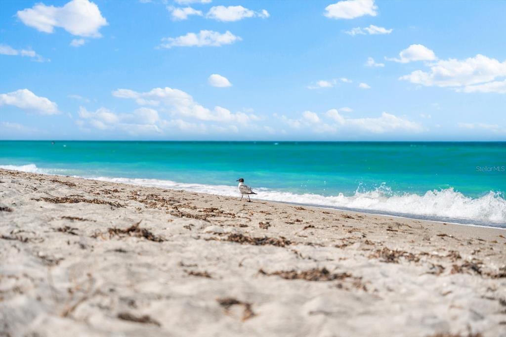 8911 Midnight Pass Road, Unit 511 Sarasota, FL 34242 - Photo 64 of 78 Gallery Image 64