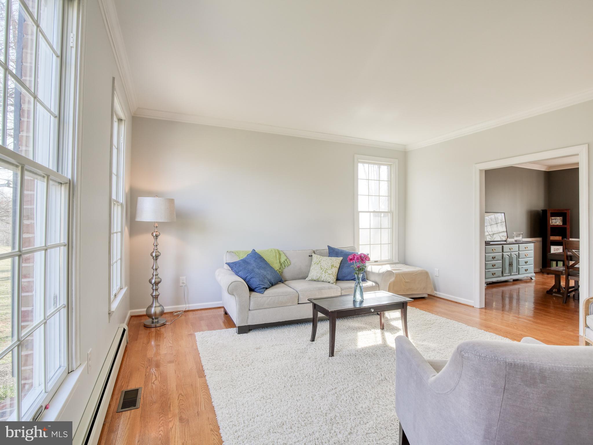 310 Hopewell Road Clear Brook, VA 22624 - Photo 20 of 57 Bright & sunny rooms