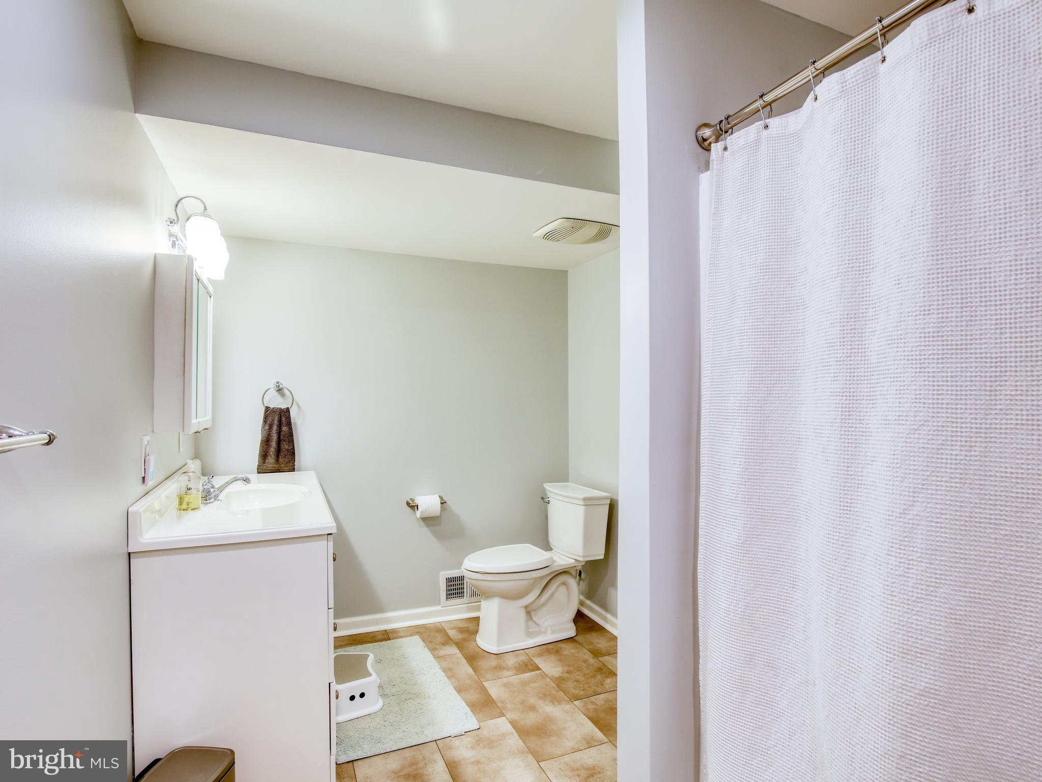 310 Hopewell Road Clear Brook, VA 22624 - Photo 55 of 57 Full bath in basement