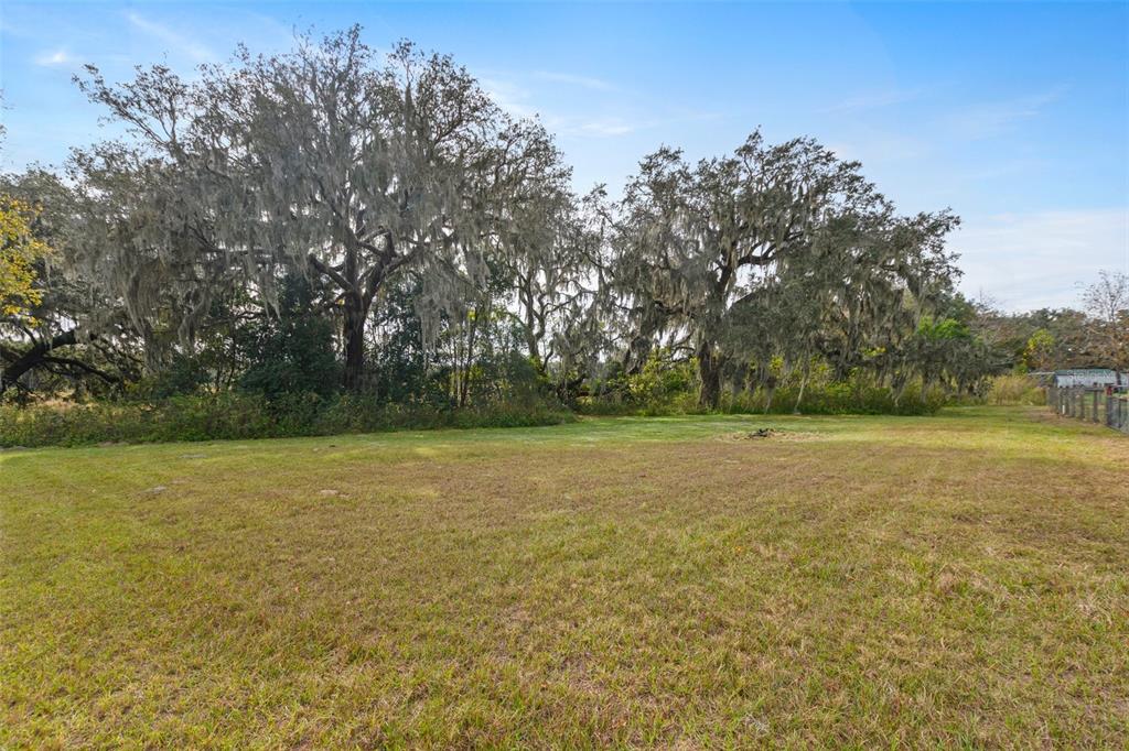 37436 Phelps Road Zephyrhills, FL 33541 - Photo 10 of 48 Gallery Image 10