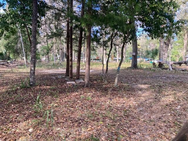 2456 North Jungle Camp Road, Unit 1 Inverness, FL 34453 - Photo 4 of 4 Gallery Image 4