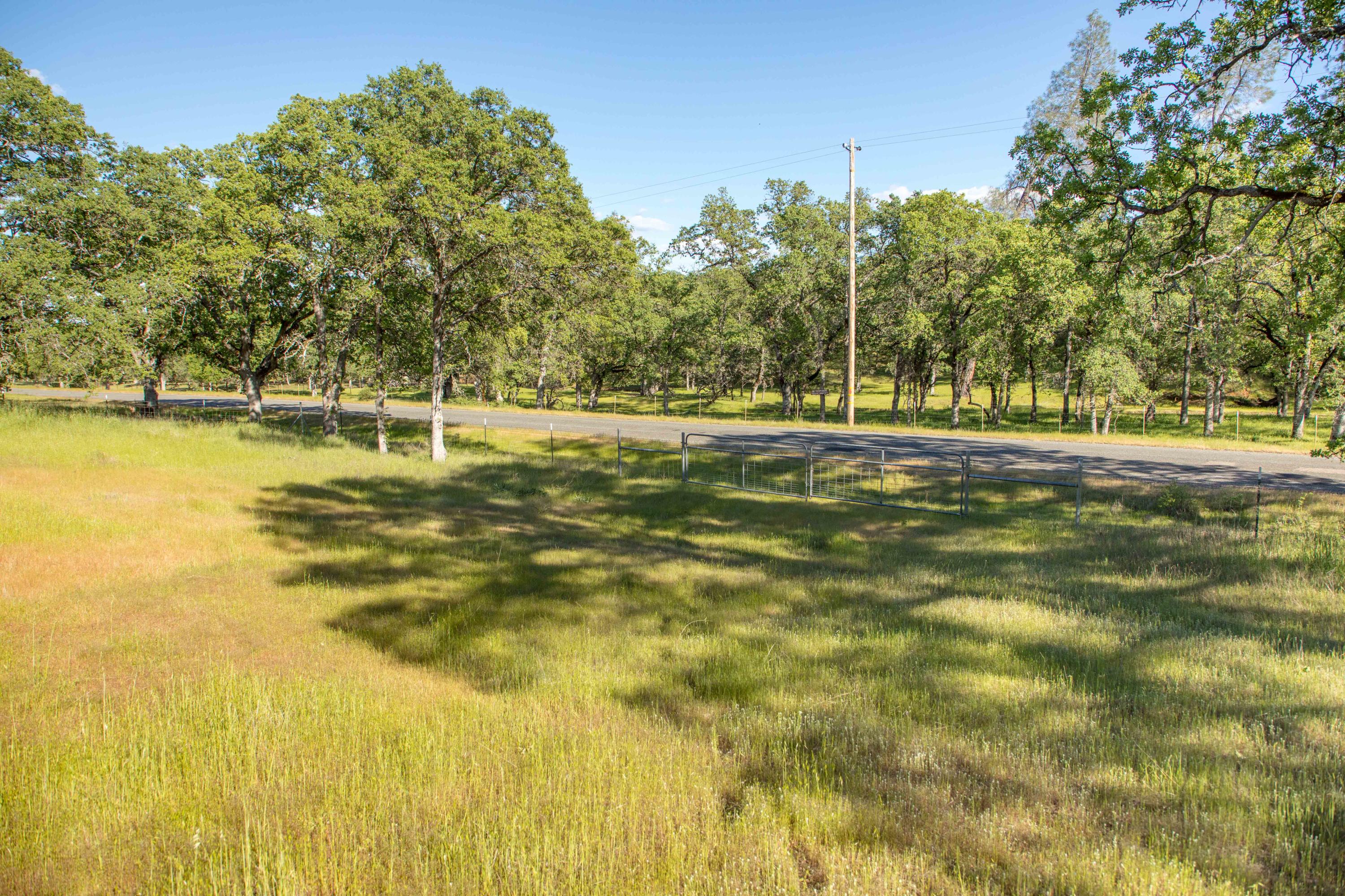 Quail Ridge Cottonwood, CA 96022 - Photo 5 of 27 254A8494