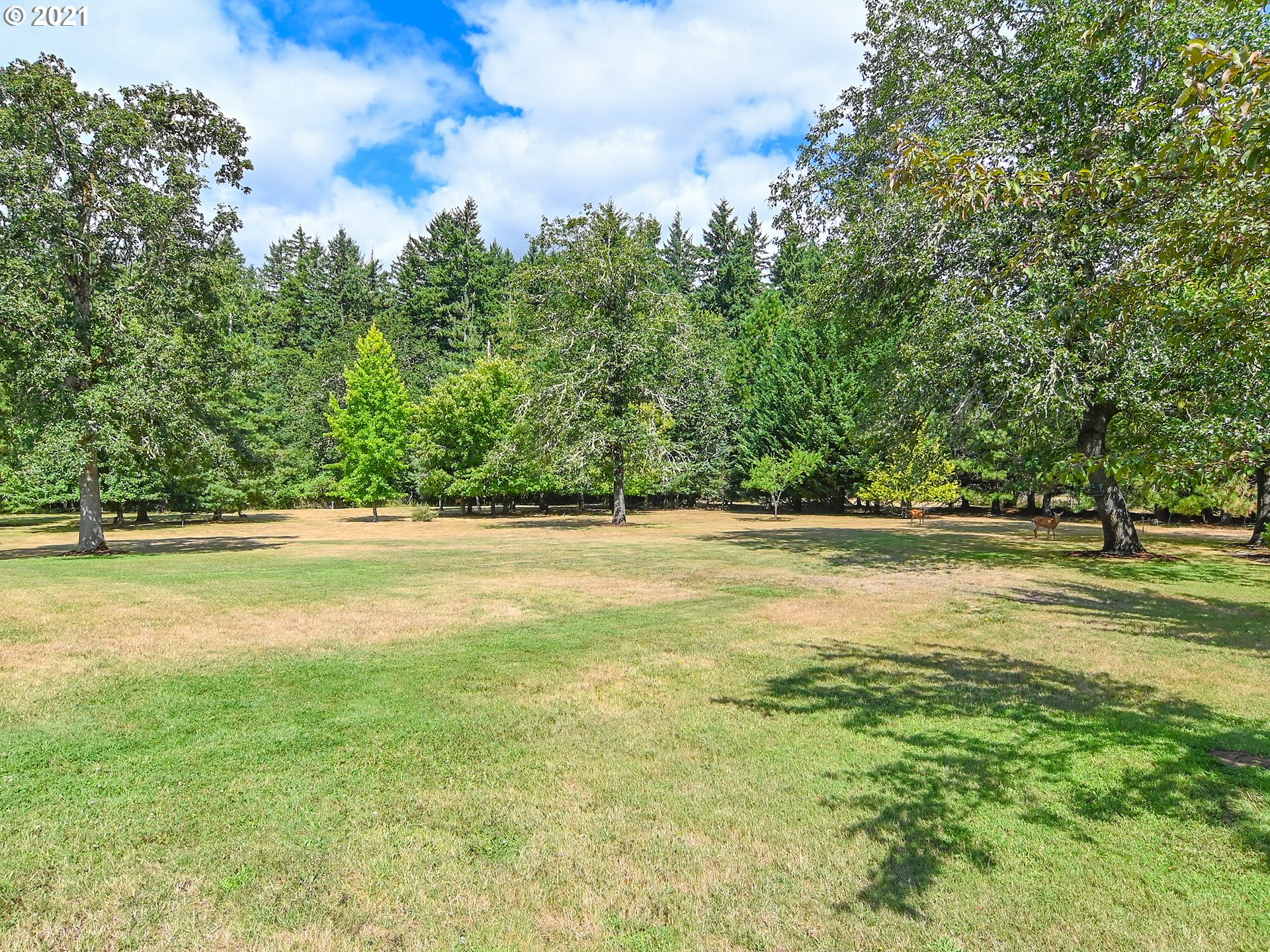 29091 Divine Road Veneta, OR 97487 - Photo 29 of 32 Gallery Image 29