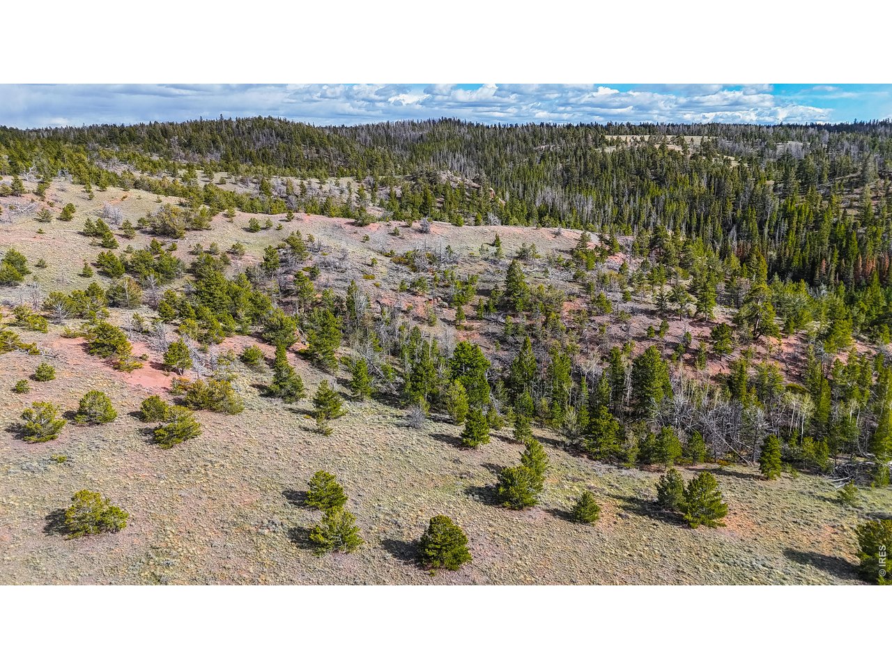 0 Laramie Overlook Road Livermore, CO 80536 - Photo 8 of 12 a view of a lake view