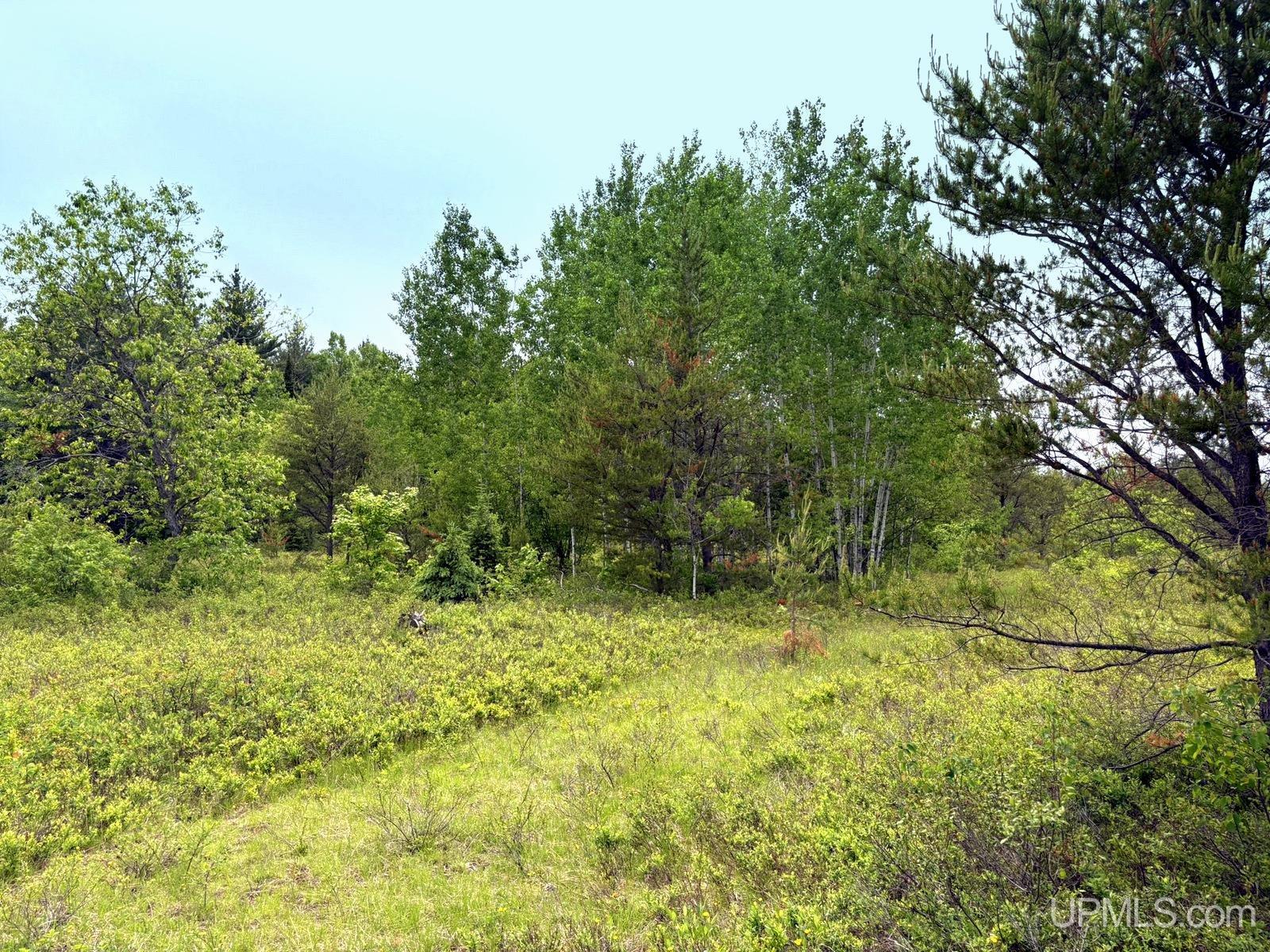 Tbd Tbd Co Road Gwinn, MI 49841 - Photo 45 of 58
