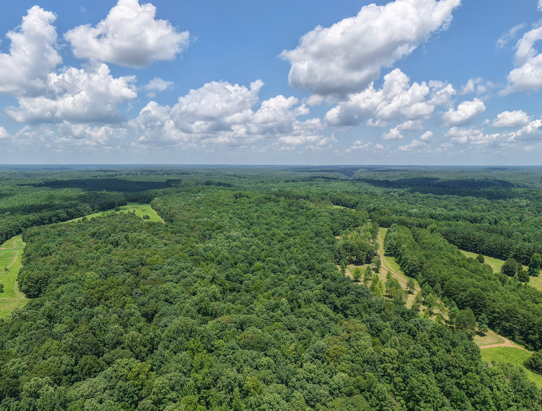 2200 Little Texas Road Goodspring, TN 38460 - Photo 52 of 61