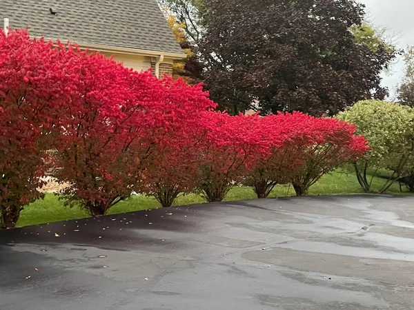 $875,000 | 4981 St Annes Court, Ann Arbor, MI 48103