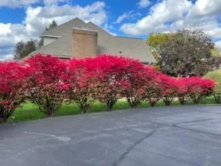 $875,000 | 4981 St Annes Court, Ann Arbor, MI 48103