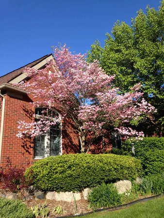 $875,000 | 4981 St Annes Court, Ann Arbor, MI 48103