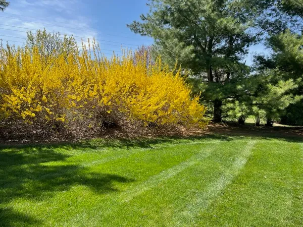 $875,000 | 4981 St Annes Court, Ann Arbor, MI 48103