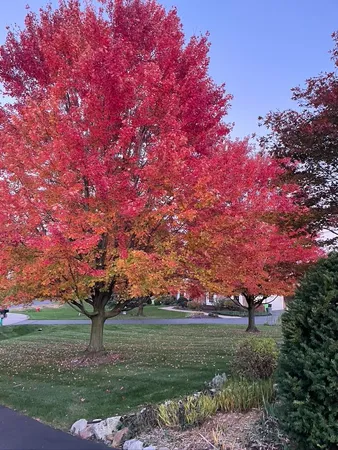 $875,000 | 4981 St Annes Court, Ann Arbor, MI 48103