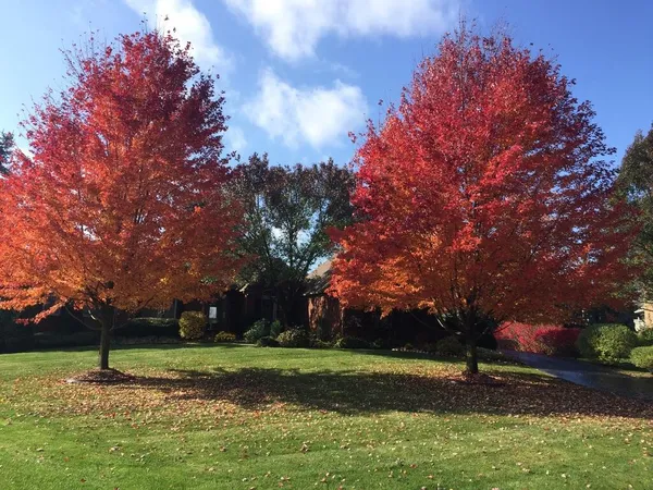 $875,000 | 4981 St Annes Court, Ann Arbor, MI 48103