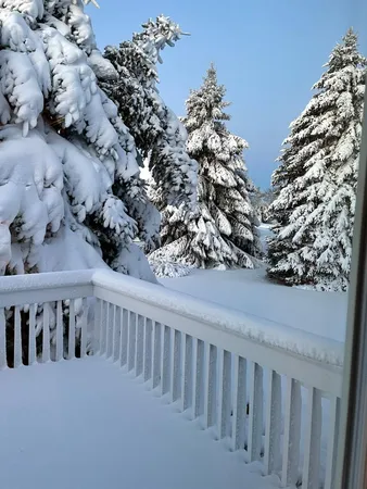 $875,000 | 4981 St Annes Court, Ann Arbor, MI 48103