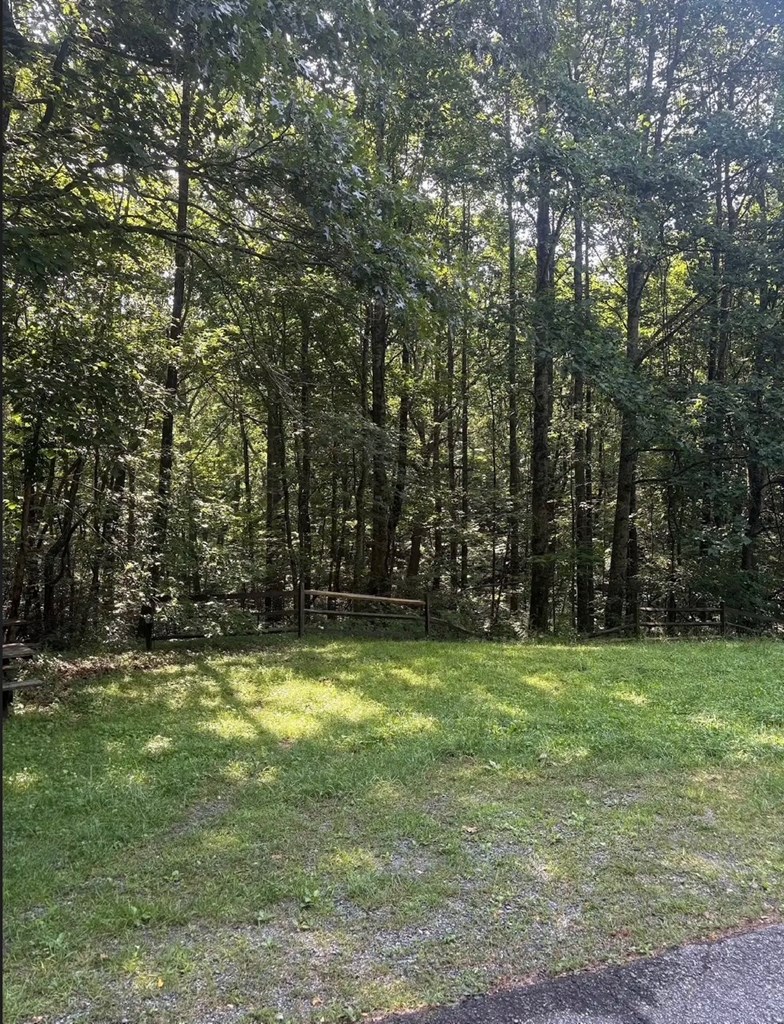 0 Burnt Mountain Road Jasper, GA 30143 - Photo 2 of 5