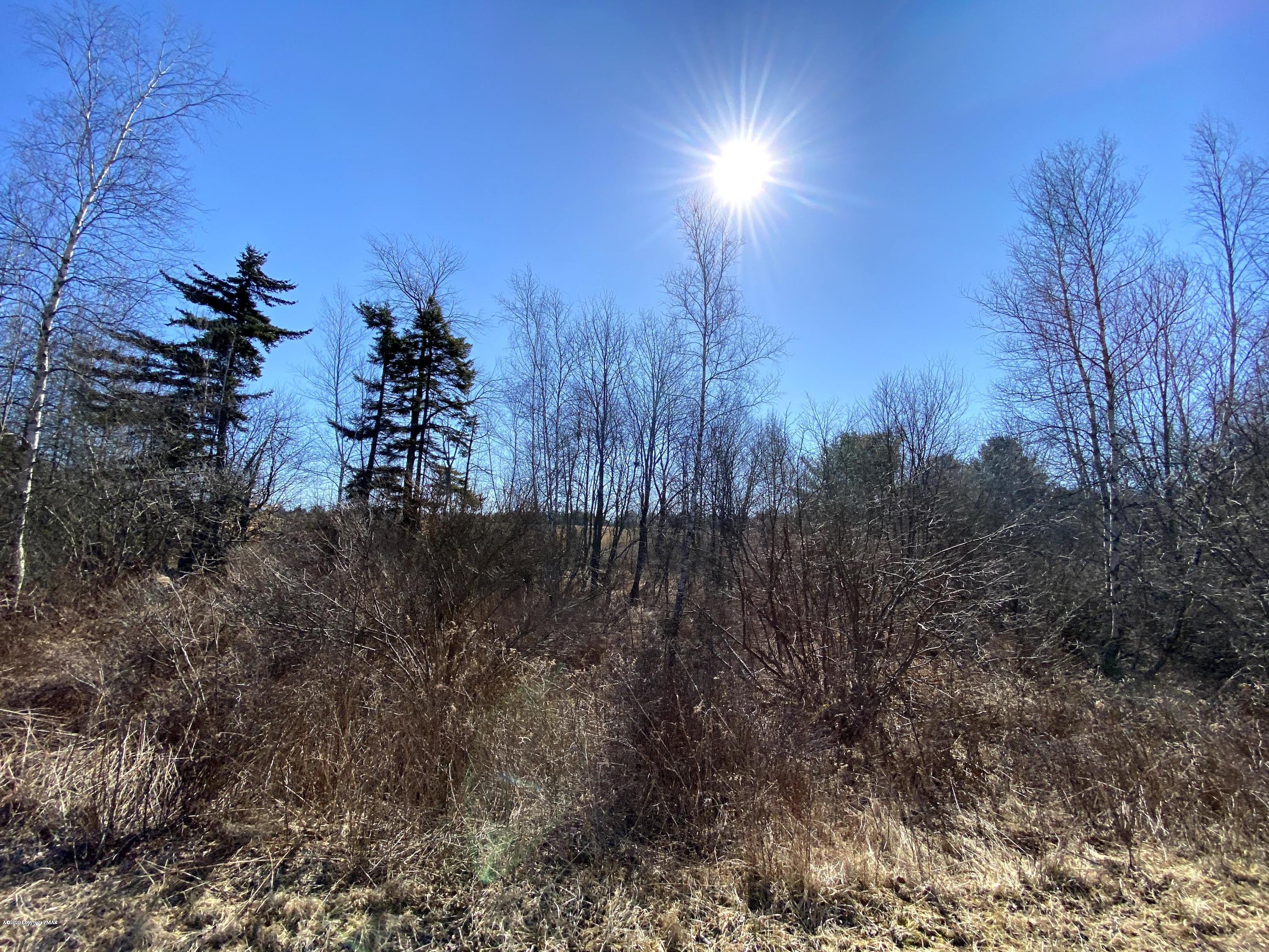 39 Lidio Road Blakeslee, PA 18610 - Photo 2 of 14 a view of a yard