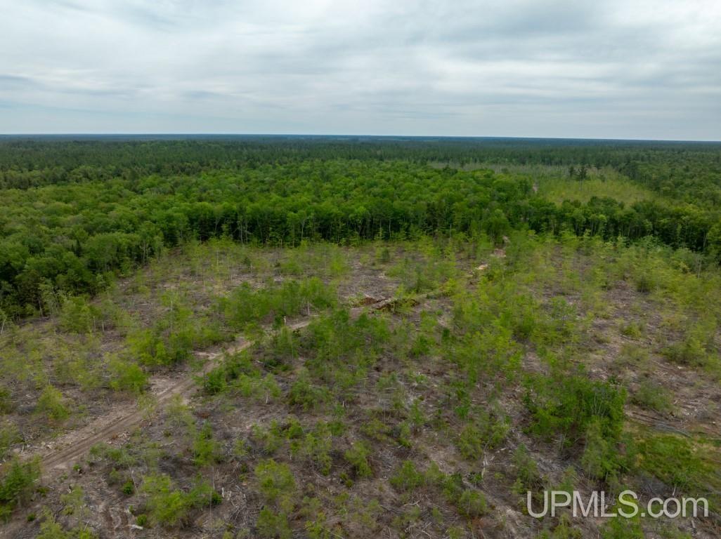 Tbd Off Co Rd 450 Road Seney, MI 49883 - Photo 13 of 13