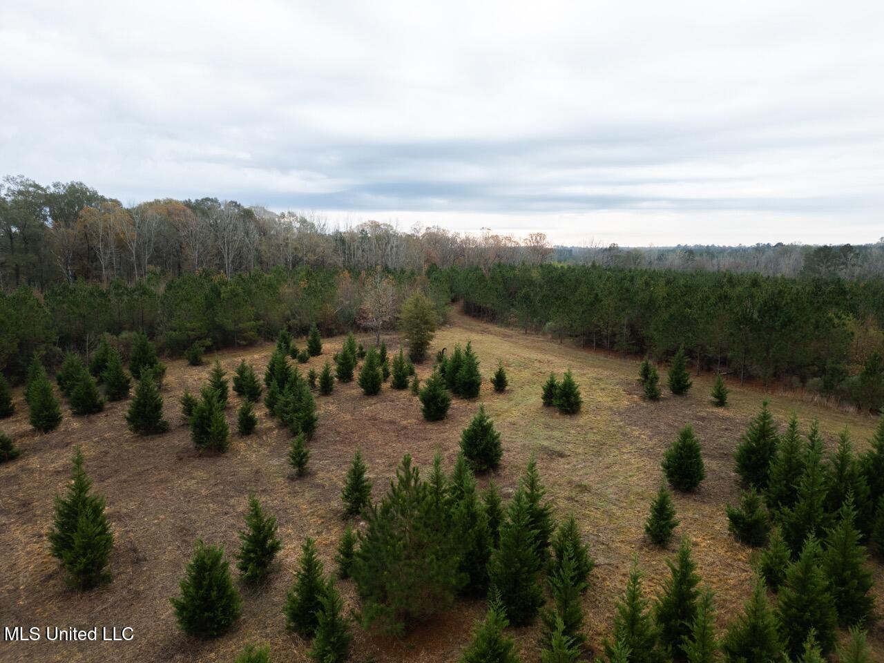 3448 Lower Centreville Road Liberty, MS 39645 - Photo 2 of 36 DJI_0029 Large