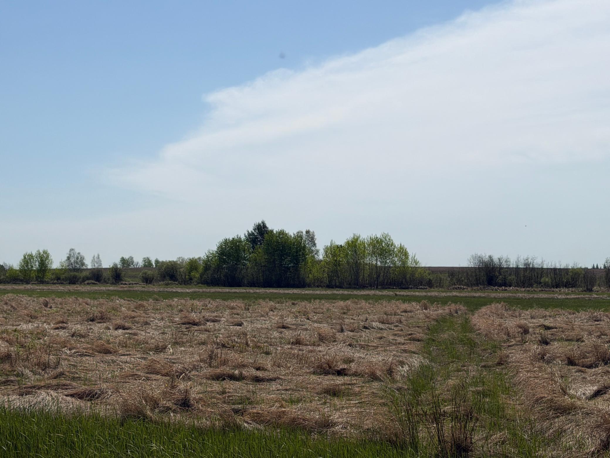 14 Sebeka Mn 56477 Sebeka, MN 56477 - Photo 66 of 79