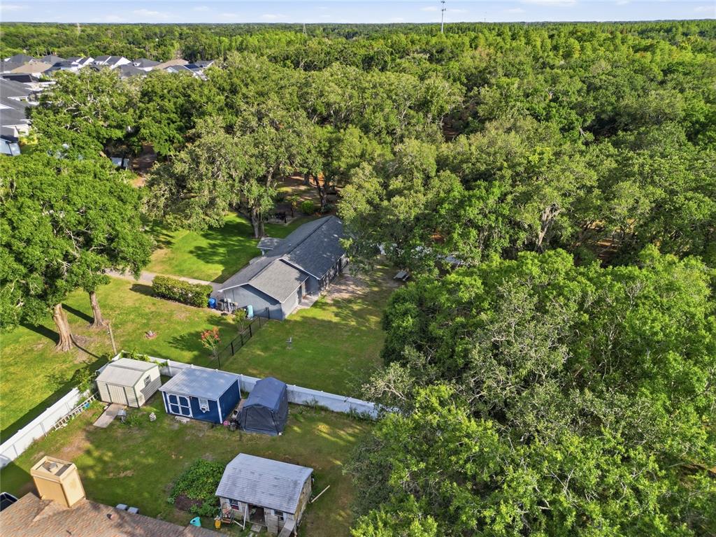 7608 Copeland Road Odessa, FL 33556 - Photo 46 of 51