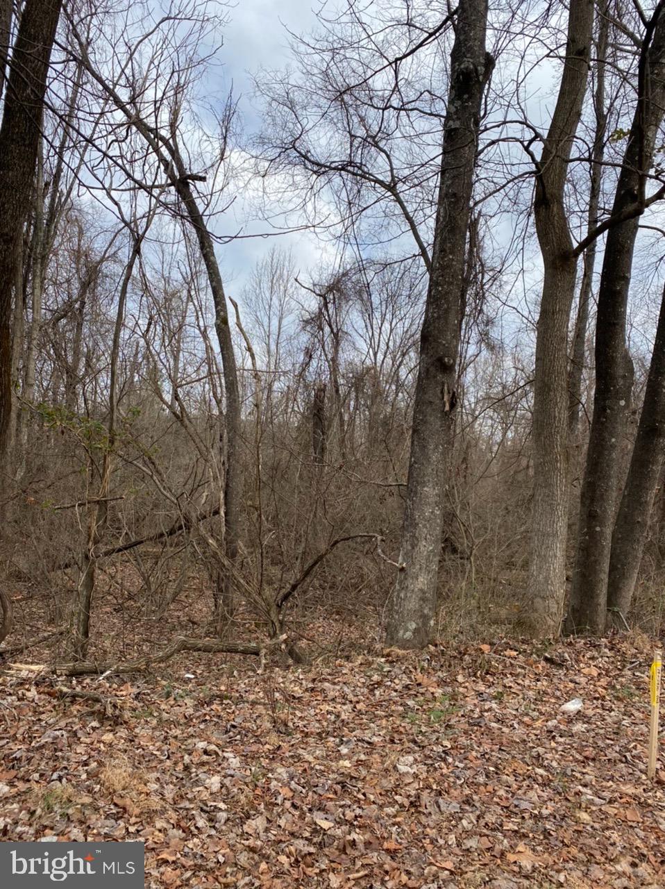 Greenwood Road Orange, VA 22960 - Photo 2 of 7 Gallery Image 2
