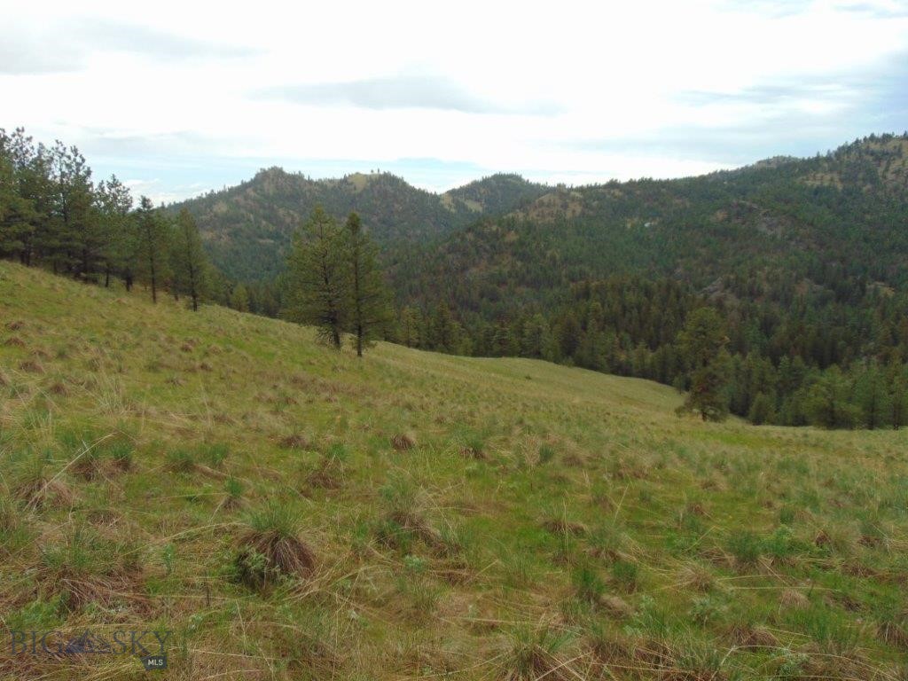Tbd Shady Spring Lane Cascade, MT 59421 - Photo 28 of 78 Gallery Image 28