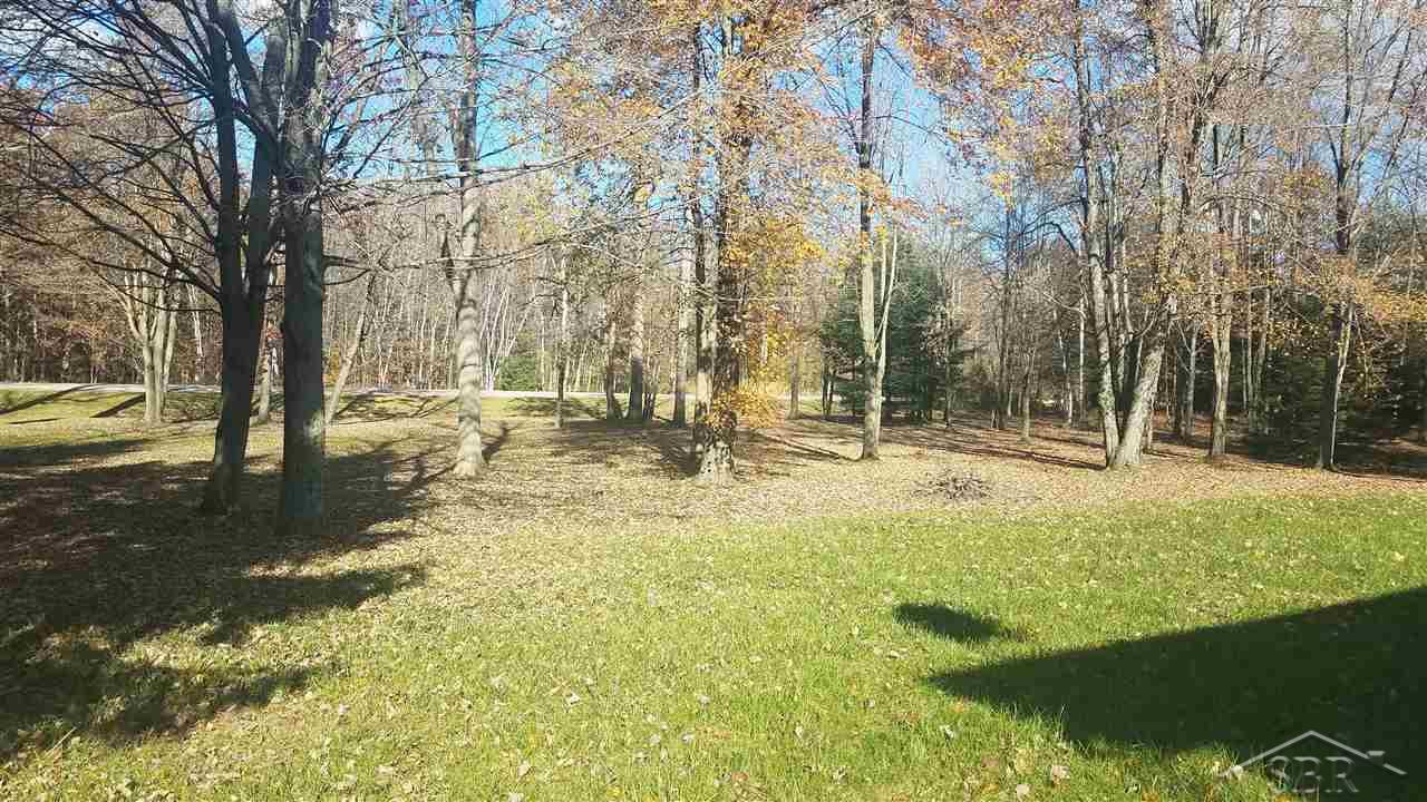 5835 Ormes Road Vassar, MI 48768 - Photo 22 of 27 31364144-21.JPG