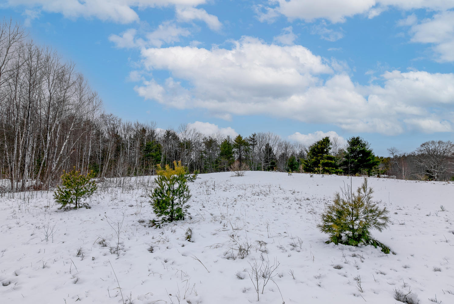 0 Upper Minot Road Pownal, ME 04069 - Photo 5 of 10 Looking from the back of the property to