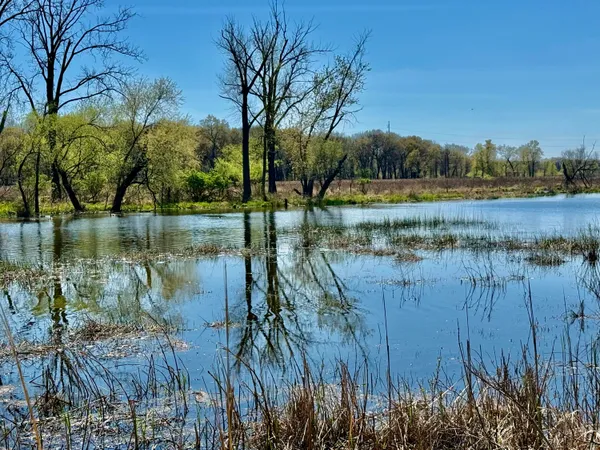 a view of lake with a house in the background