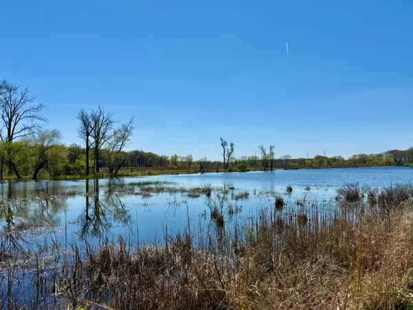 a view of lake with green space
