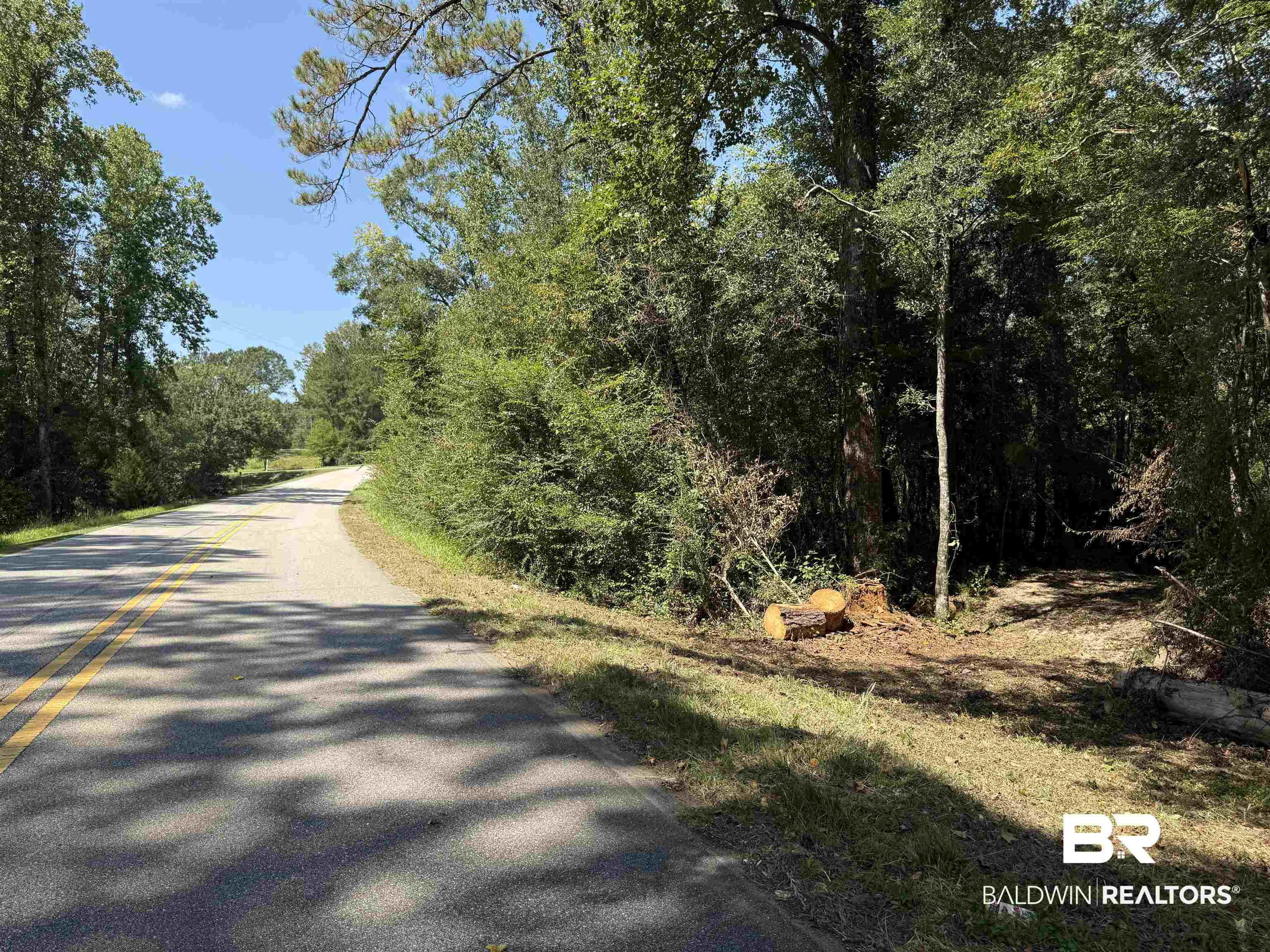 13850 Tallahatta Springs Road Thomasville, AL 36784 - Photo 7 of 27 View of asphalt road with a wooded view