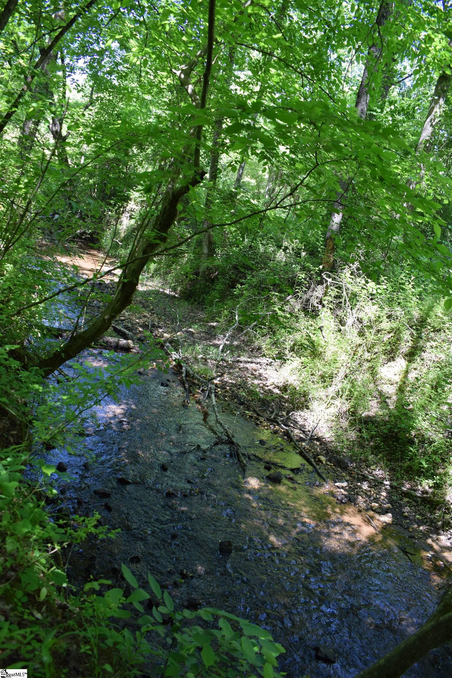 Floyd Blackwell Road Tryon, NC 28782 - Photo 13 of 27