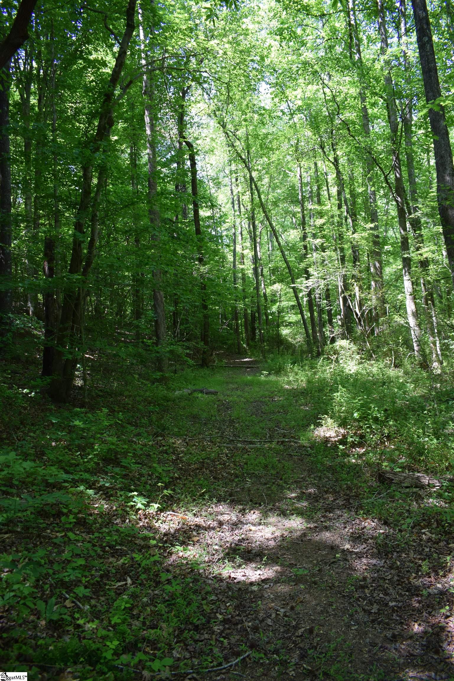 Floyd Blackwell Road Tryon, NC 28782 - Photo 14 of 27