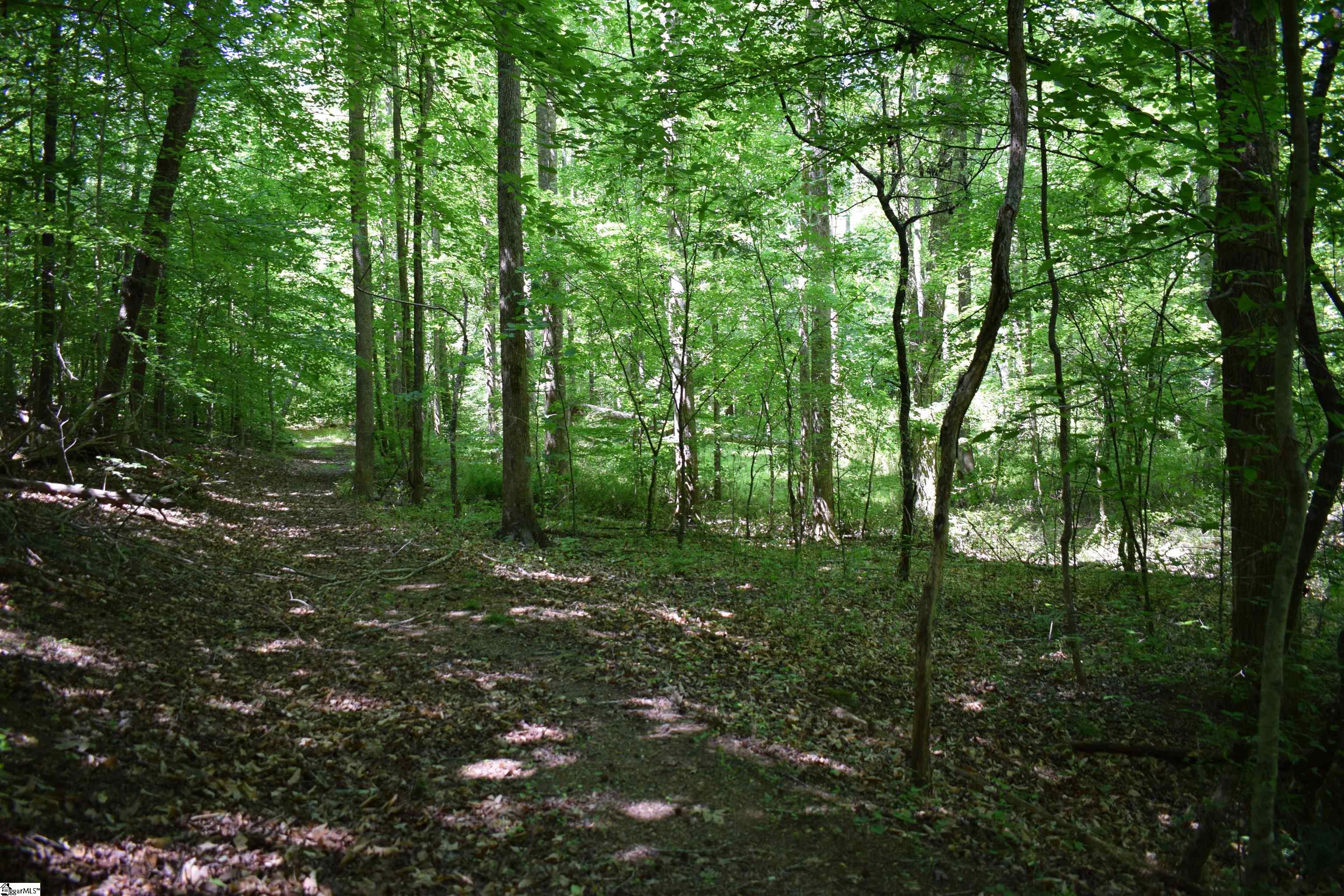 Floyd Blackwell Road Tryon, NC 28782 - Photo 16 of 27