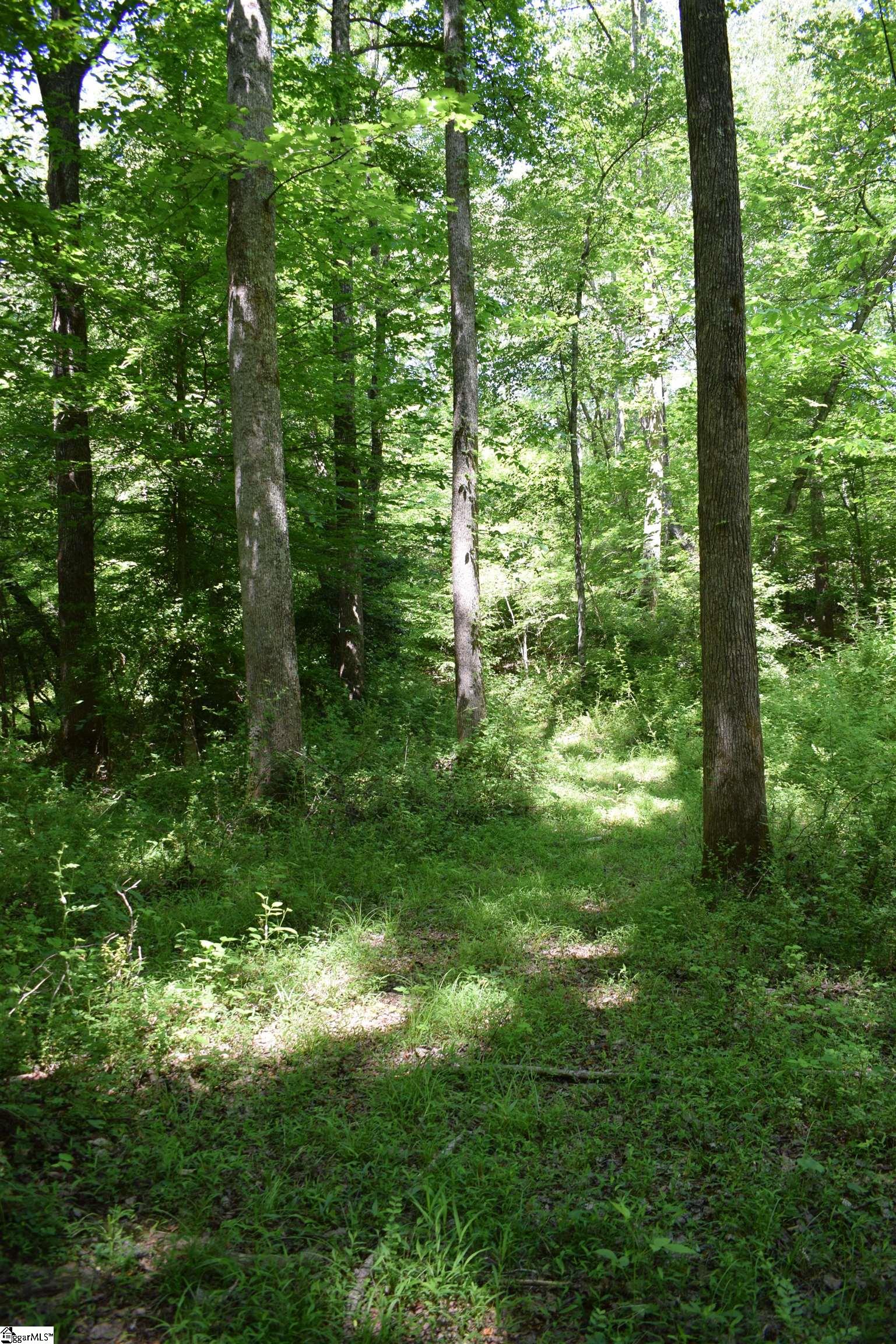 Floyd Blackwell Road Tryon, NC 28782 - Photo 19 of 27