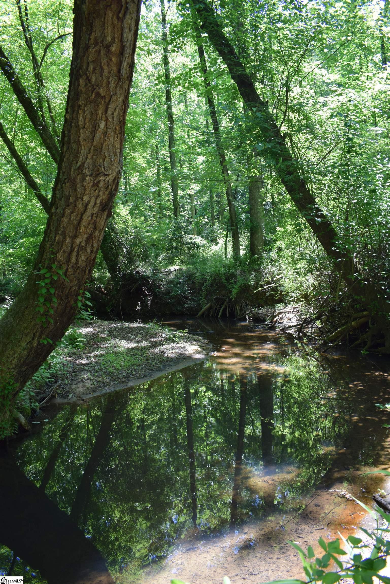 Floyd Blackwell Road Tryon, NC 28782 - Photo 20 of 27