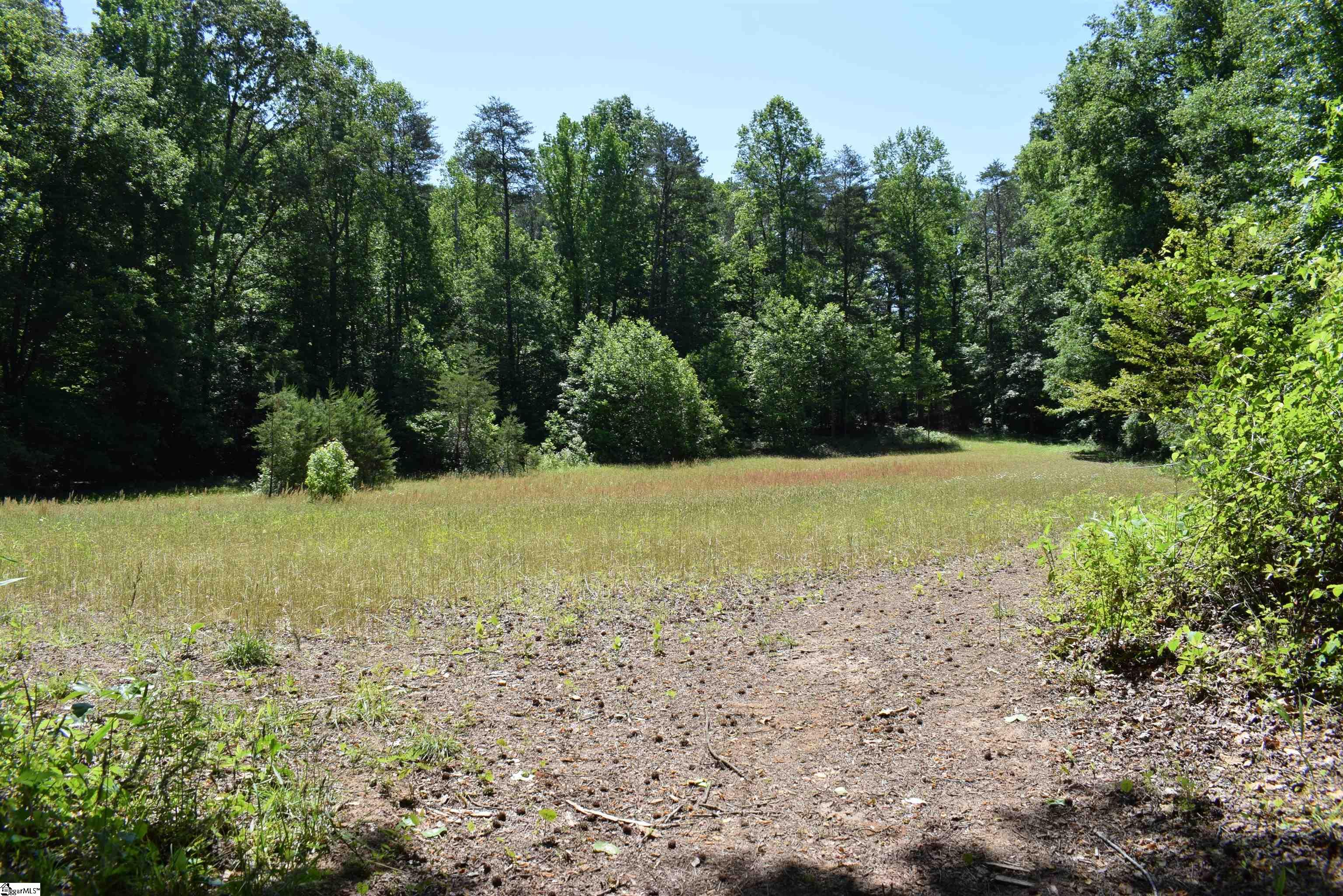 Floyd Blackwell Road Tryon, NC 28782 - Photo 22 of 27