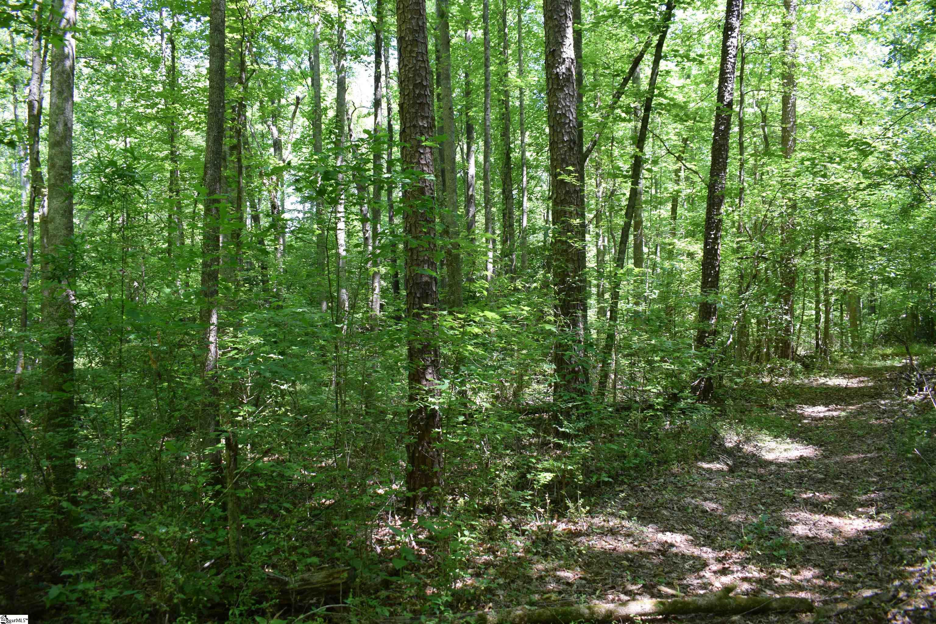 Floyd Blackwell Road Tryon, NC 28782 - Photo 26 of 27