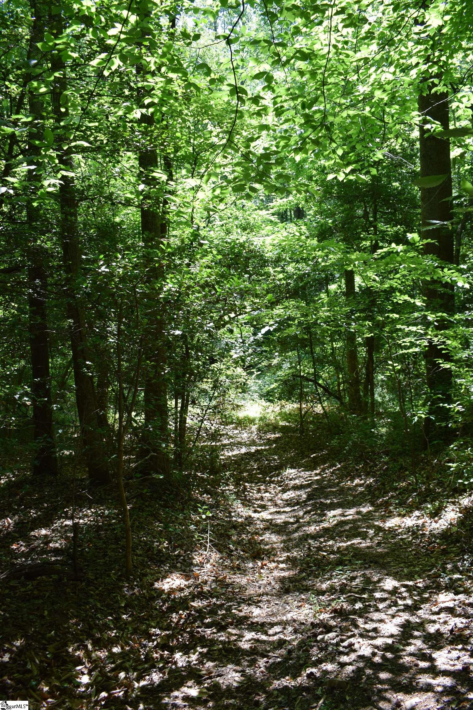 Floyd Blackwell Road Tryon, NC 28782 - Photo 4 of 27