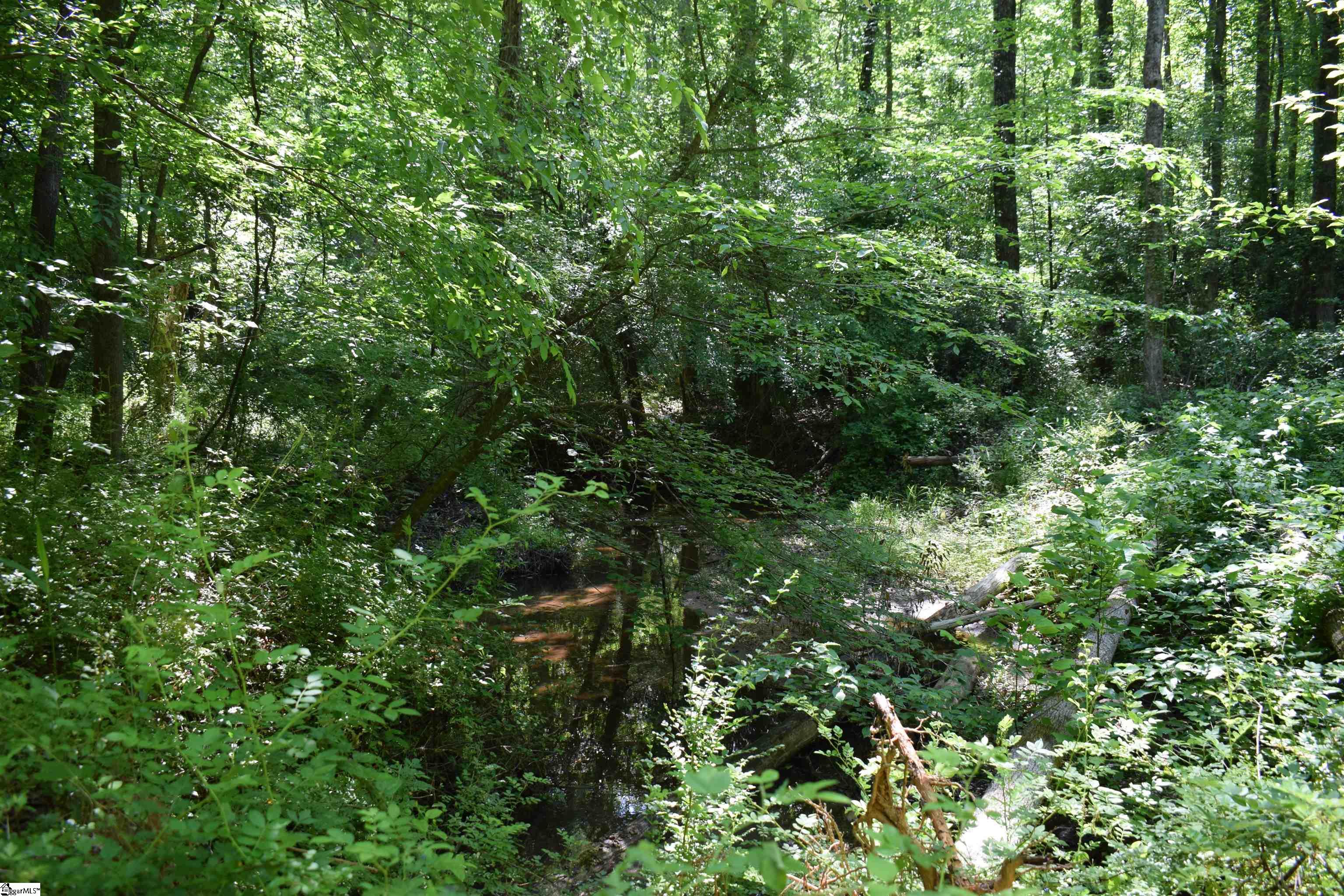 Floyd Blackwell Road Tryon, NC 28782 - Photo 5 of 27