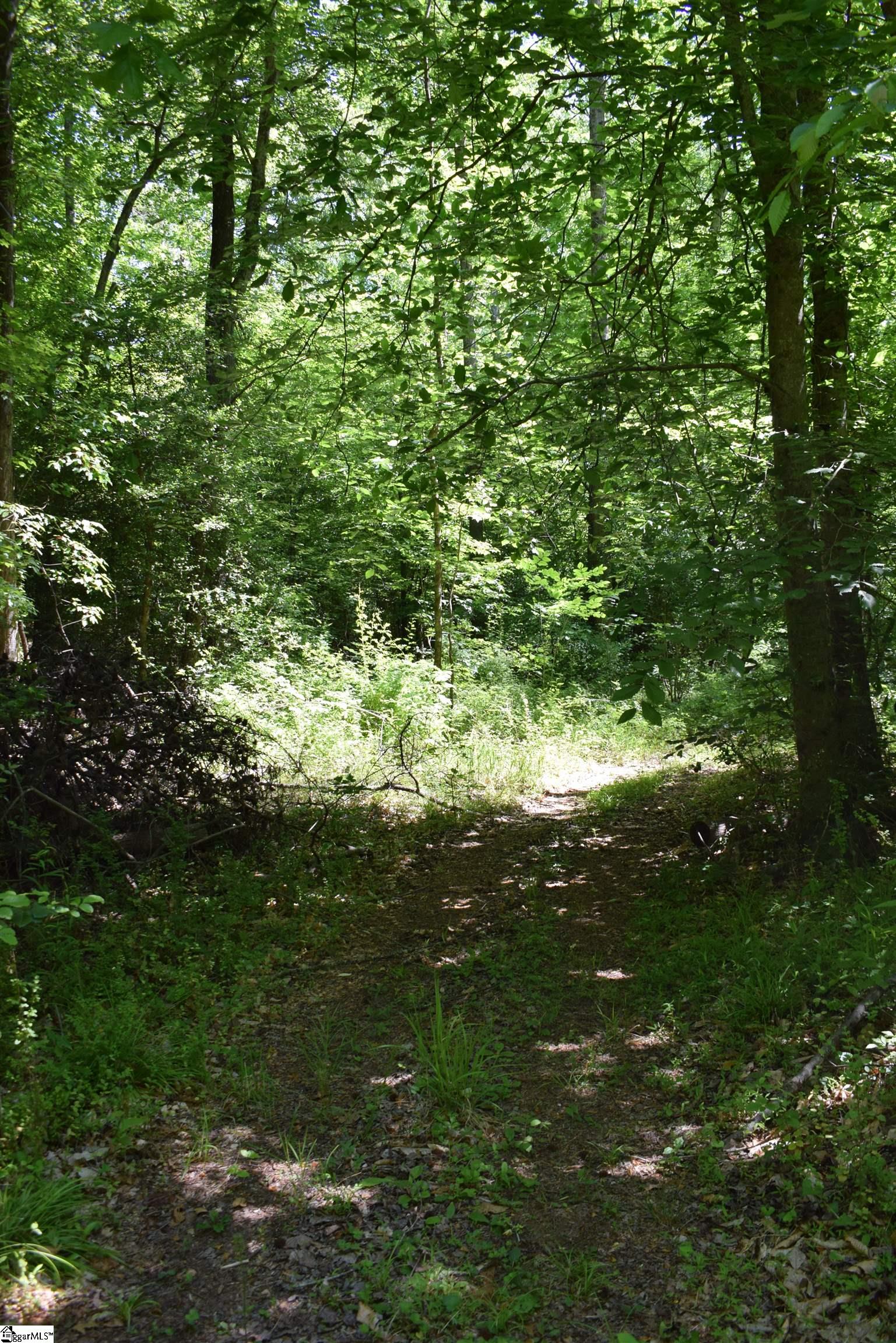 Floyd Blackwell Road Tryon, NC 28782 - Photo 6 of 27