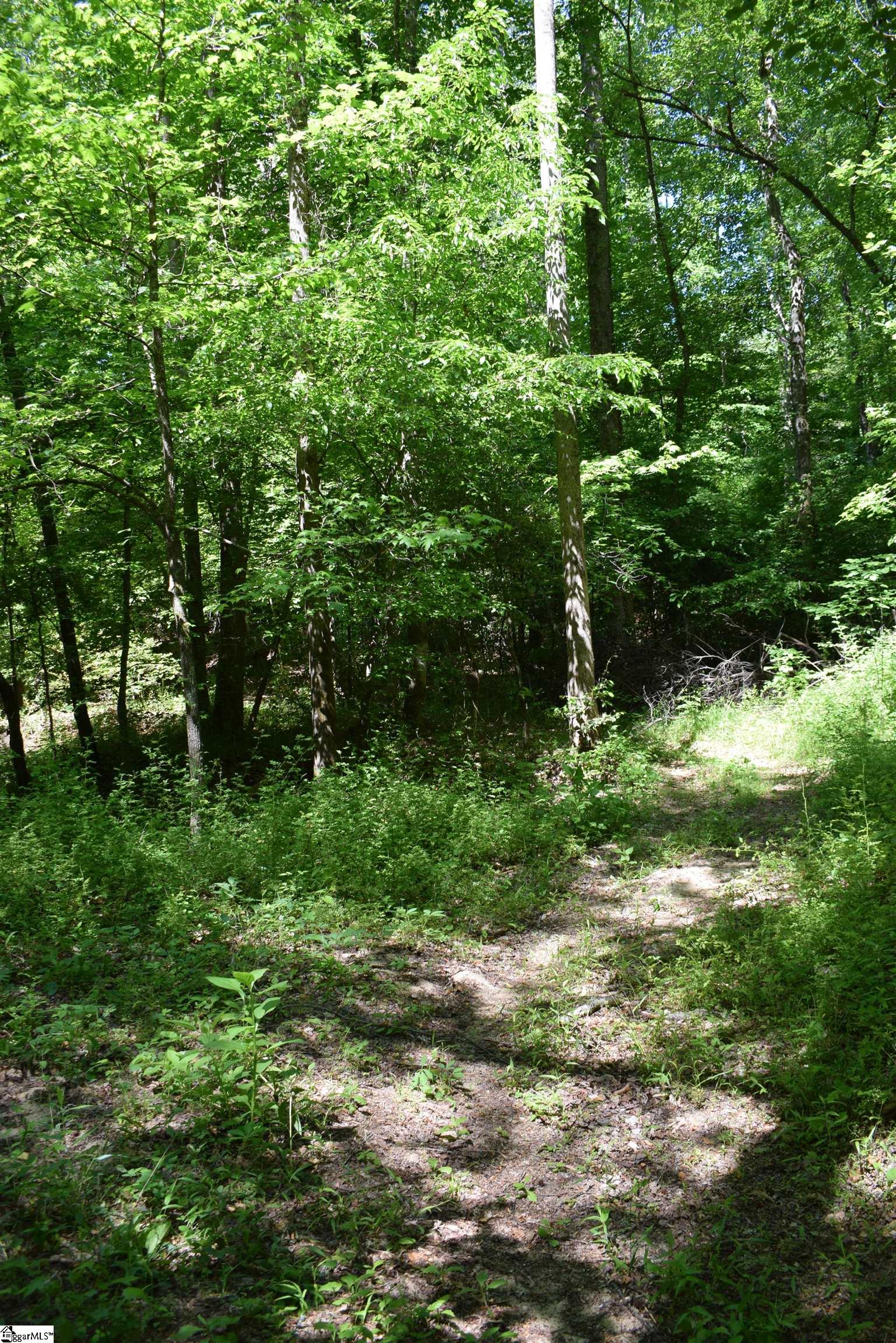 Floyd Blackwell Road Tryon, NC 28782 - Photo 7 of 27