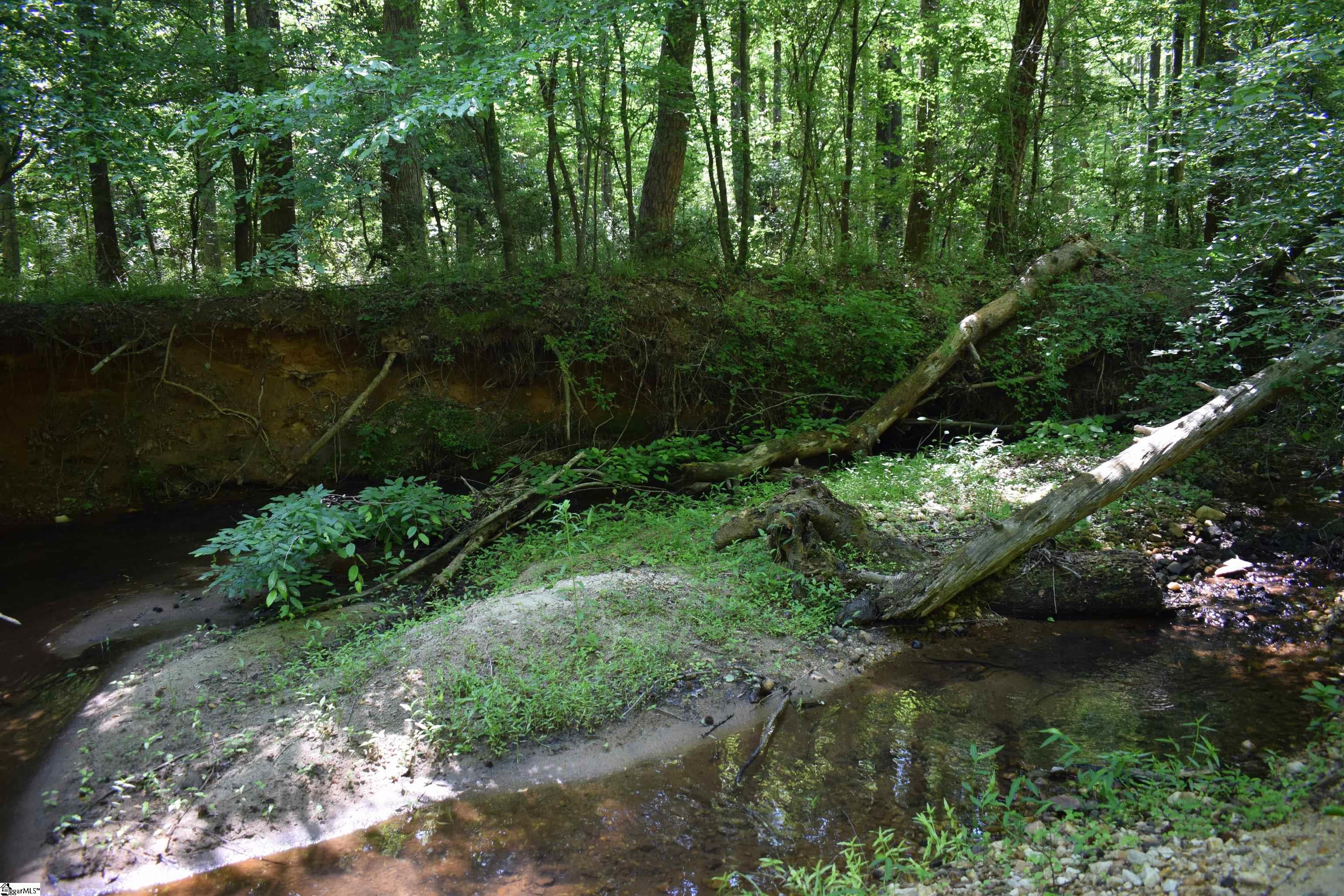 Floyd Blackwell Road Tryon, NC 28782 - Photo 9 of 27