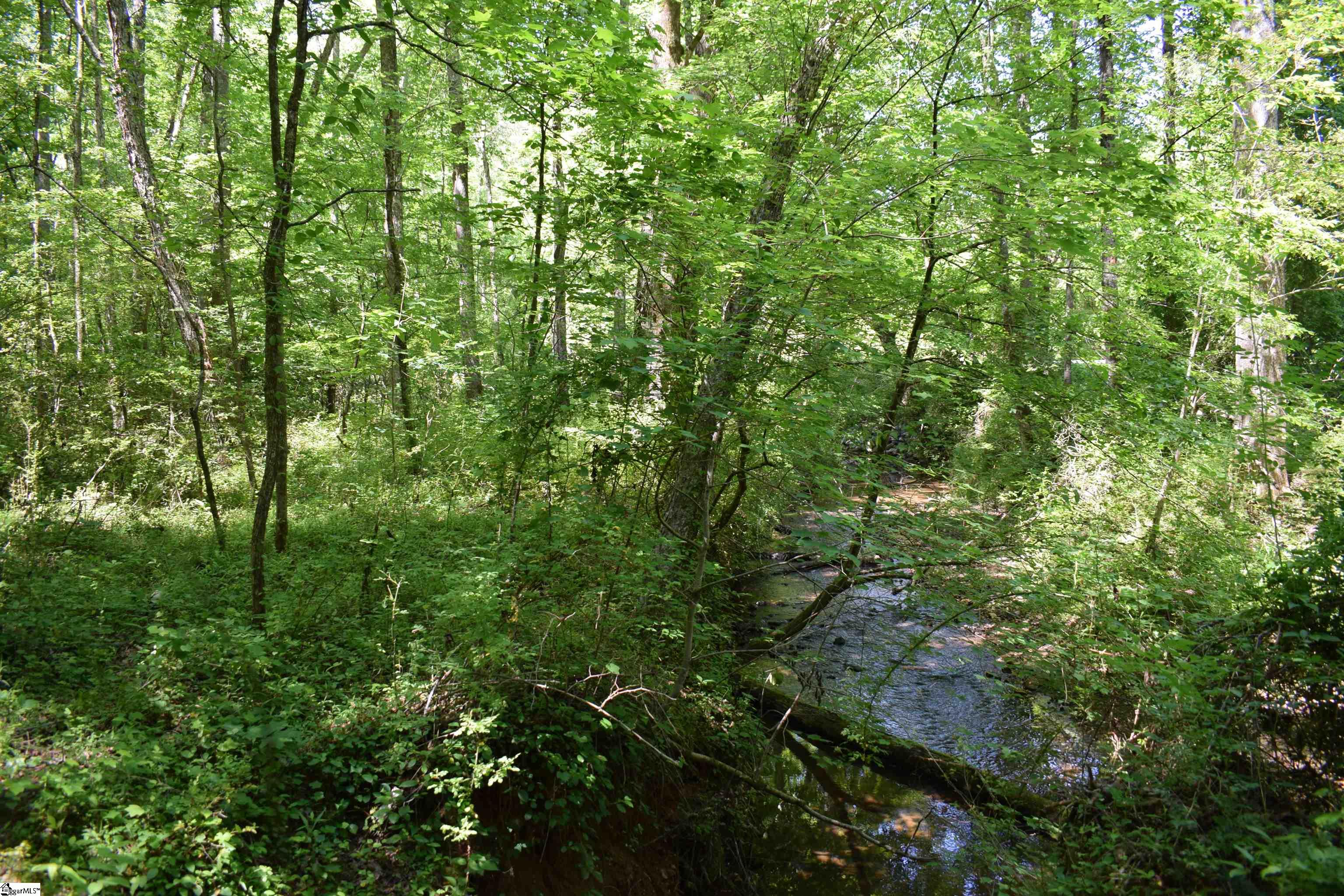 Floyd Blackwell Road Tryon, NC 28782 - Photo 10 of 27
