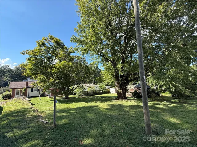 a view of a park that has large trees