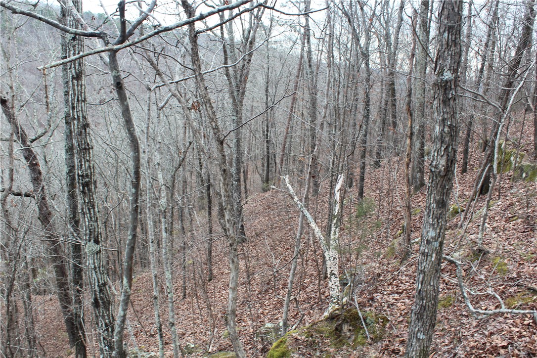 0 Old Brewer Road South Edgemont, AR 72044 - Photo 39 of 60 View of wooded area