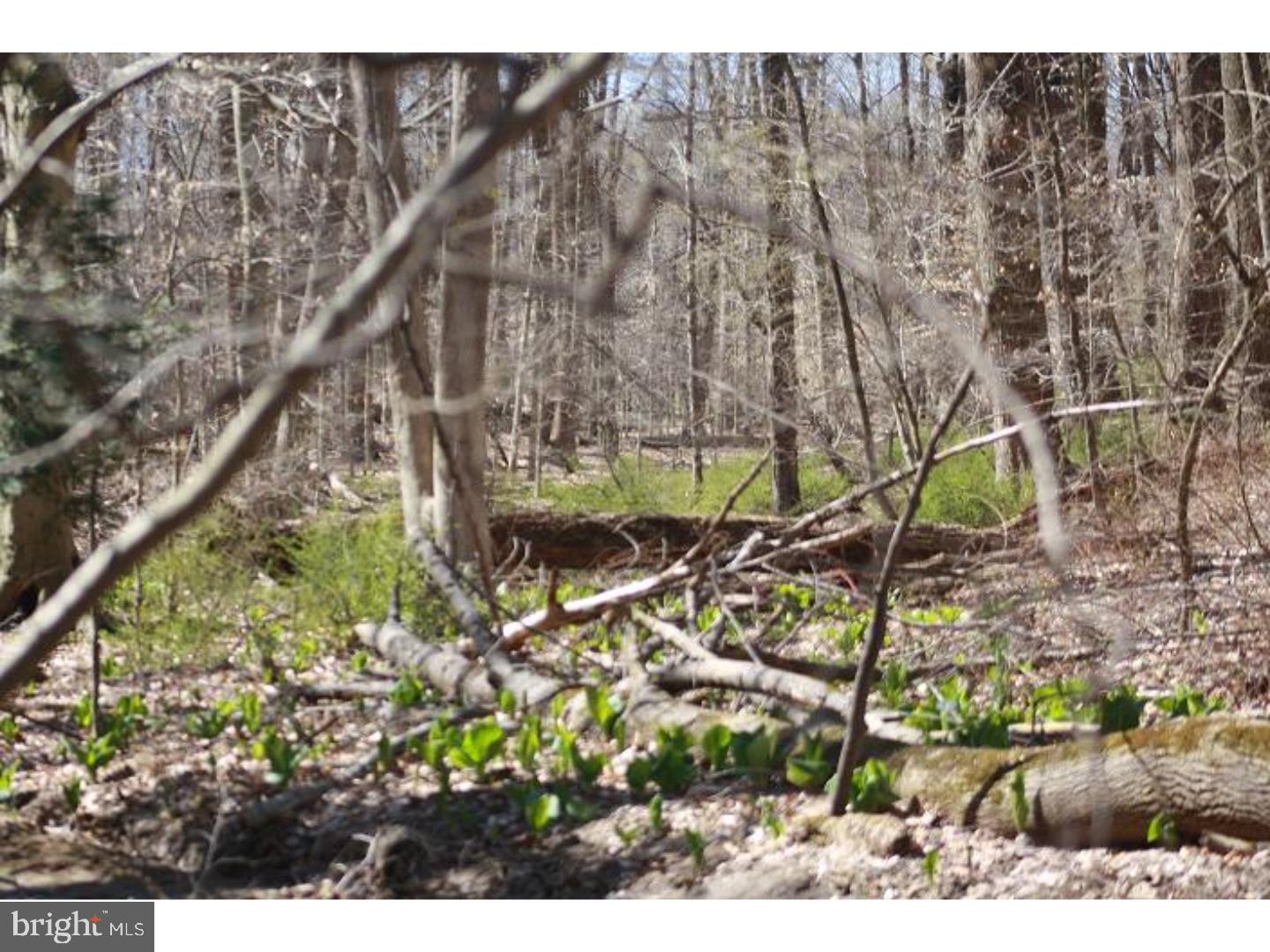 Lot 2 Mill Road Kennett Square, PA 19348 - Photo 1 of 2 Gallery Image 1