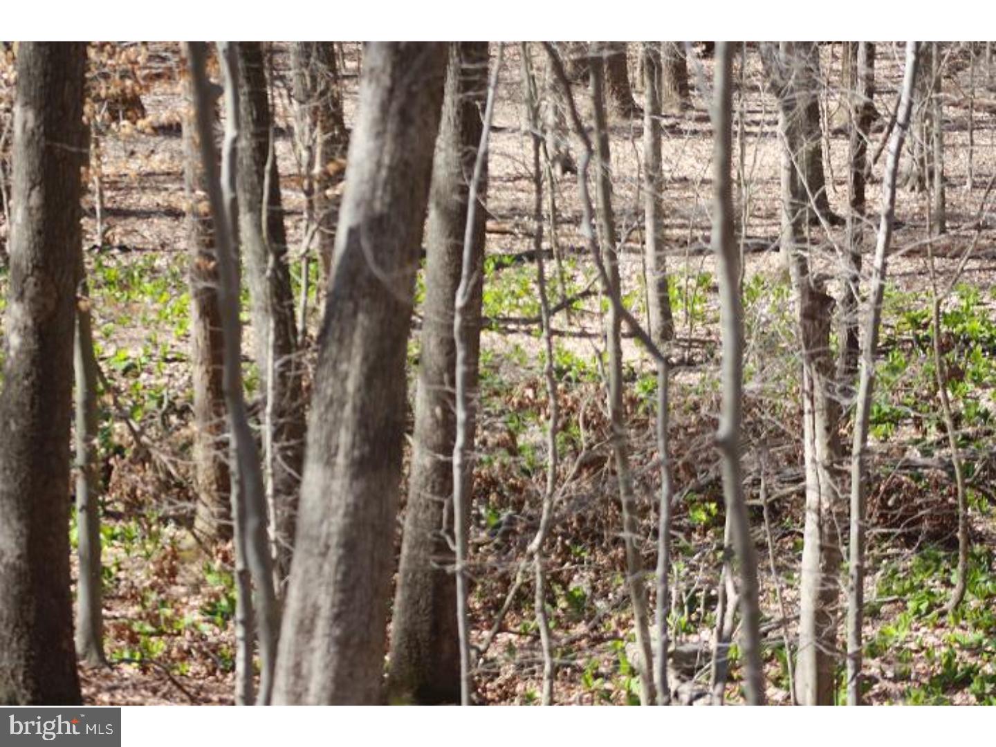 Lot 2 Mill Road Kennett Square, PA 19348 - Photo 2 of 2 Gallery Image 2