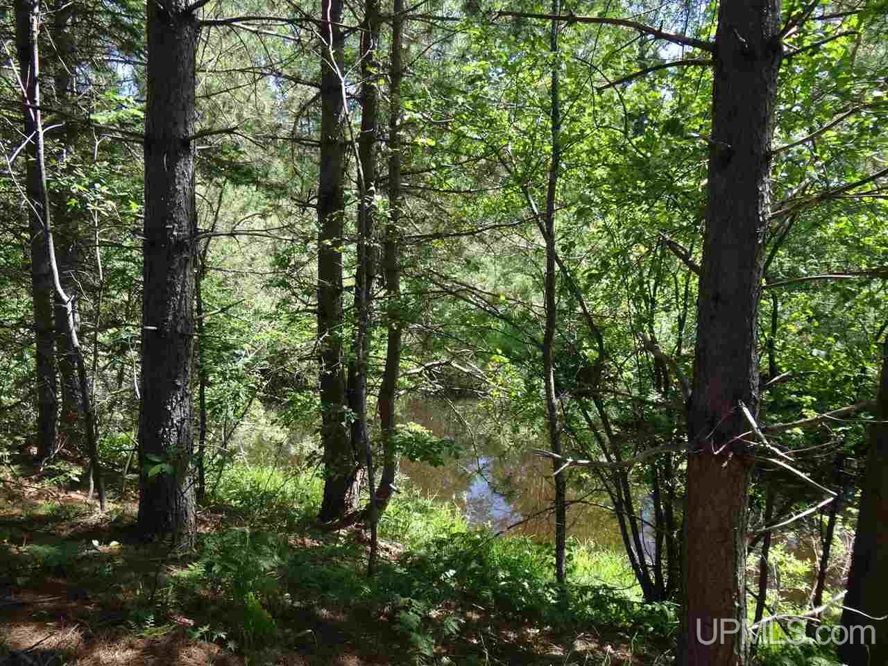 Tbd Walstrom Road Atlantic Mine, MI 49905 - Photo 13 of 23 Gallery Image 13