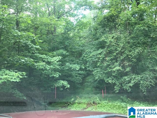 Mountain View Vance, AL 35490 - Photo 16 of 28