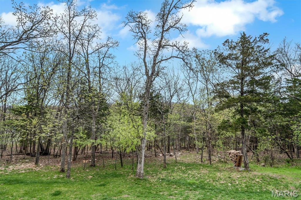 17481 Wyman Ridge Drive Eureka, MO 63025 - Photo 41 of 48
